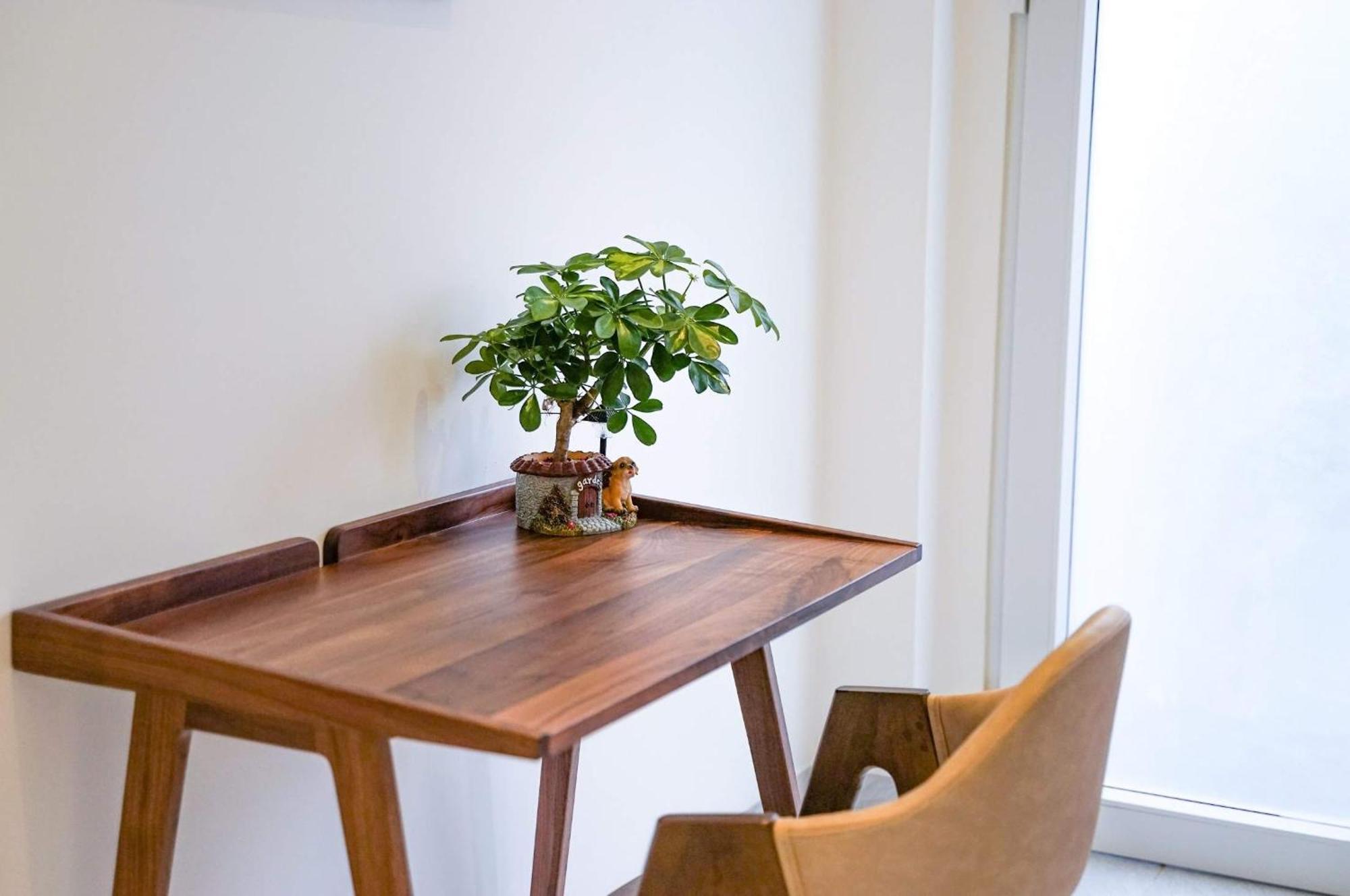 Local White House - Ecofriendly Homestay ダナン市 エクステリア 写真