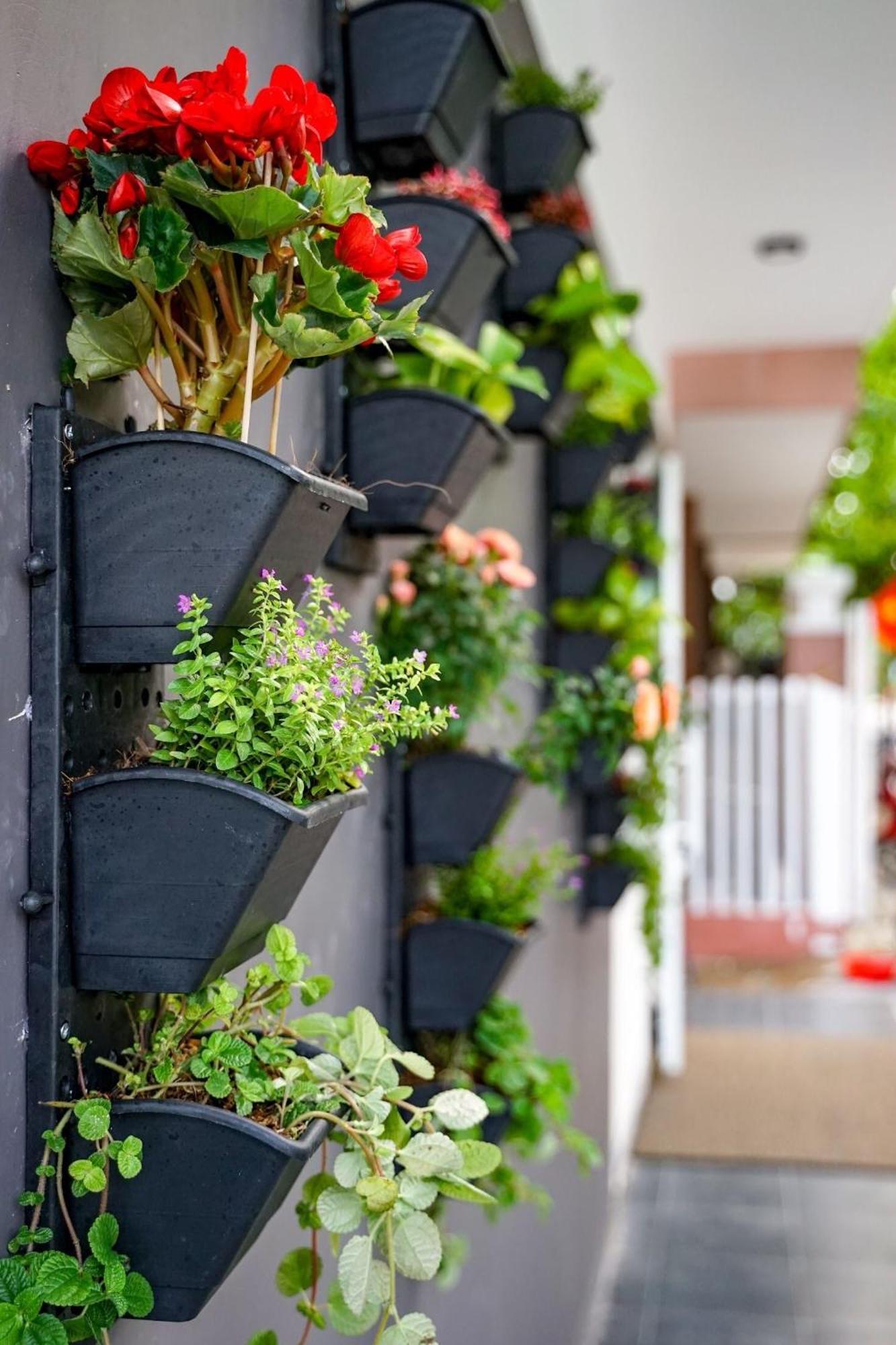 Local White House - Ecofriendly Homestay ダナン市 エクステリア 写真