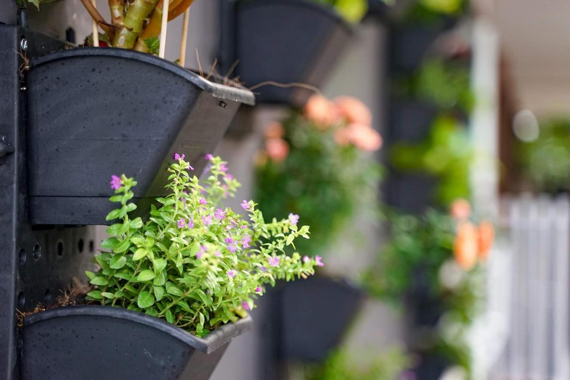 Local White House - Ecofriendly Homestay ダナン市 エクステリア 写真