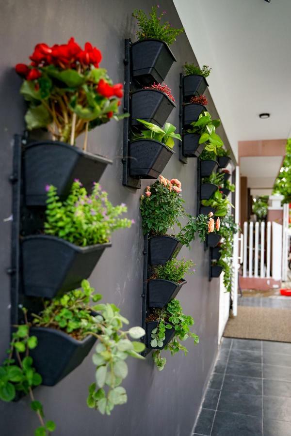 Local White House - Ecofriendly Homestay ダナン市 エクステリア 写真